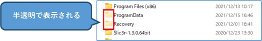 windows11隠しファイルの表示